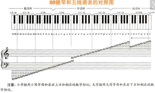 甲状腺有囊肿多吃什么食物-甲状腺囊肿多吃哪些食物-引起甲状腺囊肿食物有哪些,中国引起甲状腺囊肿食物网站