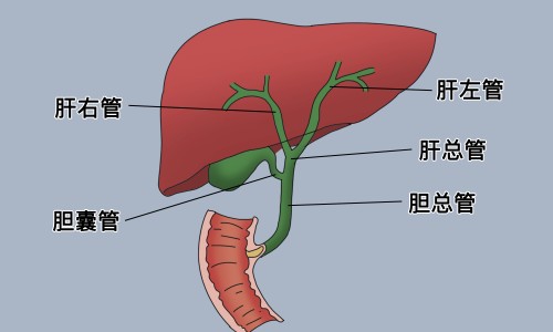 甲状腺囊肿哪些食物不能吃-甲状腺囊肿多吃哪些食物-引起甲状腺囊肿食物有哪些,中国引起甲状腺囊肿食物网站